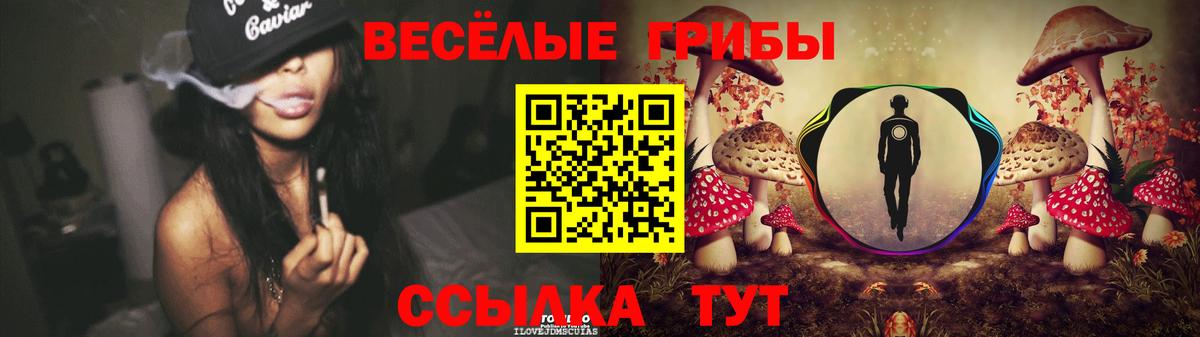 Псилоцибиновые грибы мицелий  Галлюциногенные грибы прущие грибы  Волгоград  Вход с VPN 