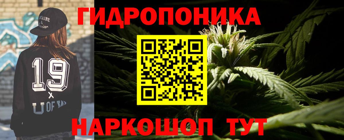 Конопля индика Волгоград